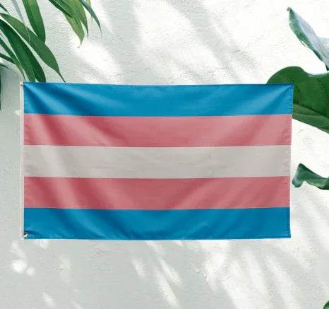 Drapeau LGBT 90 x 150 cm - LGBT-Market
